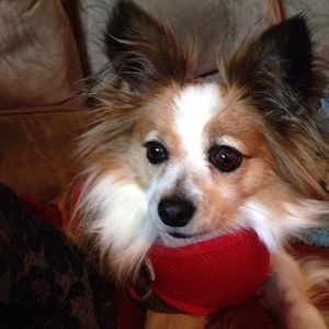 Meet your Posher, Becky